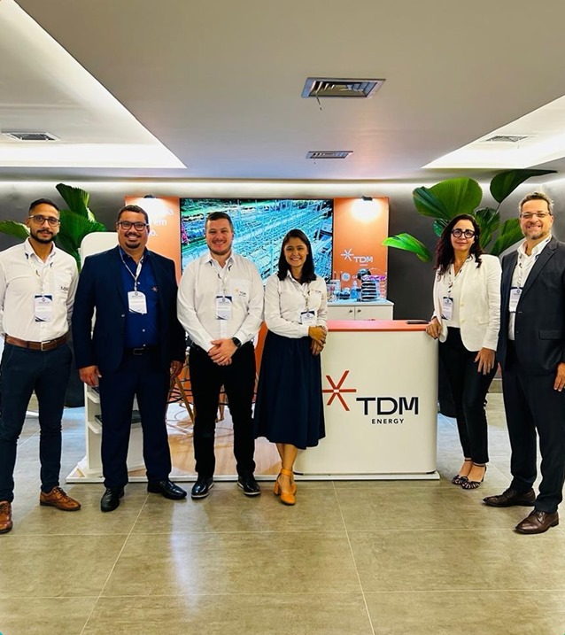 Workshop Cigre | Eletrobras | TDM
